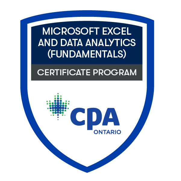 Microsoft Excel Fundamentals Badge