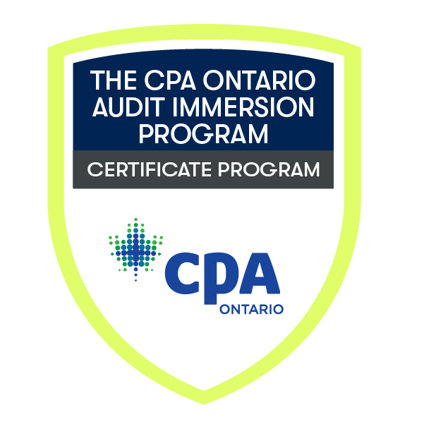 Audit Immersion Badge