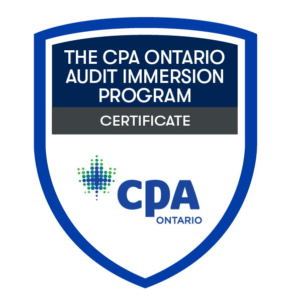 Audit Immersion Badge